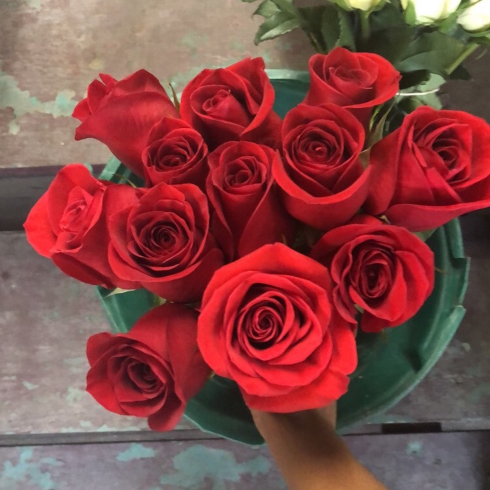 Meet your Posher, Courtney